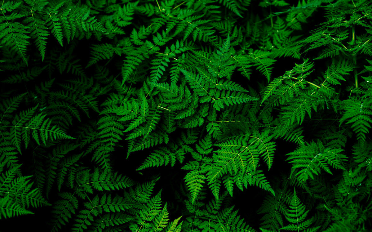 Photo by Teemu Paananen on Unsplash